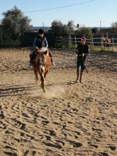 Clube Hípico Margens Do Tejo - hipica in Moita do Norte