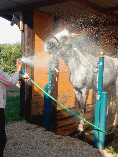 Centro Hípico de Tavira - hipica in Tavira
