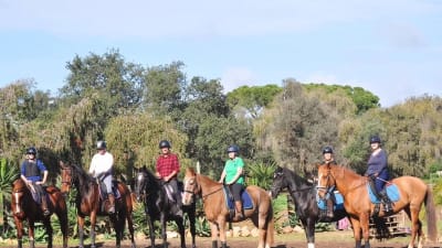 Albufeira Riding Centre - hipica in Albufeira