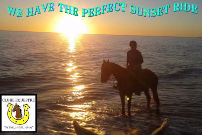 Clube Equestre A Palmeirinha - hipica in Almancil