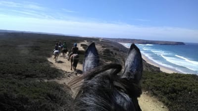 Horses In The Sun - hipica in Aljezur