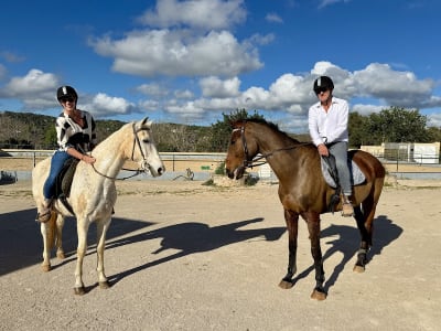 Monte da Ribeira - hipica in Salir