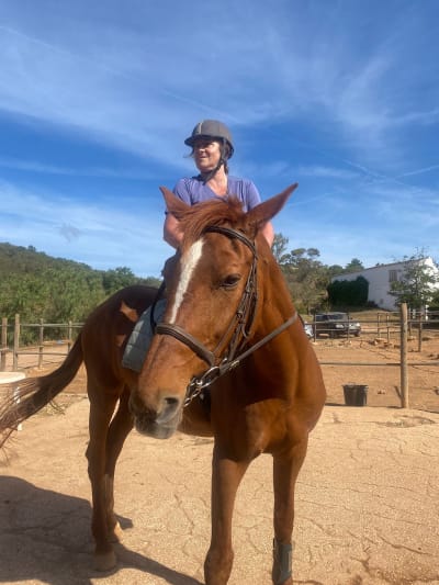 QPA Horse Riding Centre / Quinta Paraíso Alto - hipica in Bensafrim