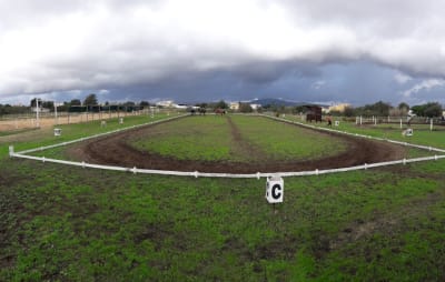 Associação Hípica Casal de São José das Areias - hipica in Quelfes
