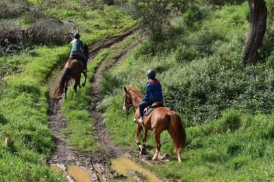 Lagos Horse Riding & Rescue Centre - hipica in Bensafrim