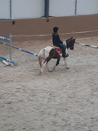 Belmont’s riding centre - hipica in Portimão