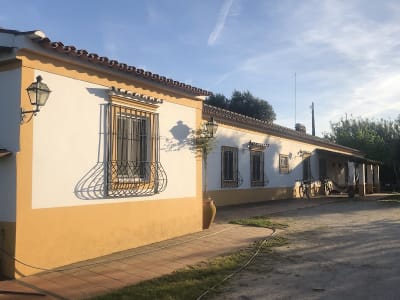 Monte de São Geraldo / Horserra - hipica in Alcáçovas