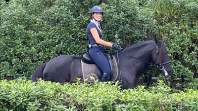 LMG Equestre - hipica in Lisboa