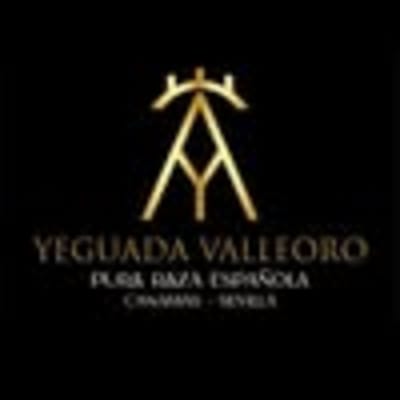 Yeguada Valleoro - hipica in La Rinconada