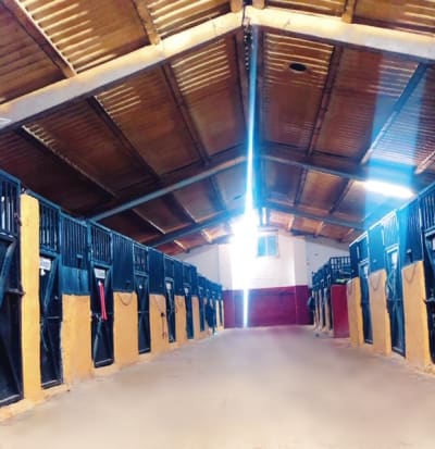 Polígono Ganadero De Cáceres Sociedad Cooperativa Limitada - hipica in Cáceres