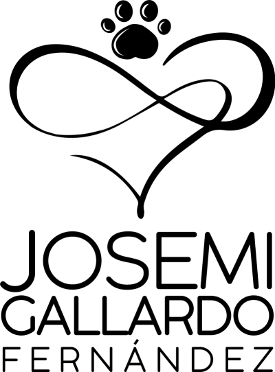 Centro de Adiestramiento y Residencia Canina Educación Canina en Villanueva de la Serena - hipica in Villanueva de la Serena