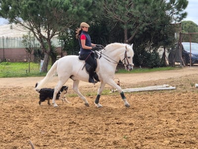 Club Hípico La Alegría - Rocío Benitez - hipica in Chipiona