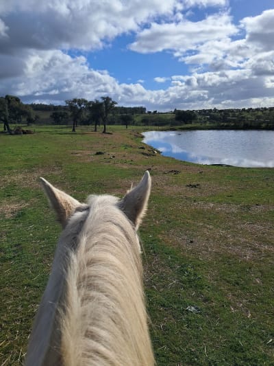 A Cavalo Na Raia Turismo Equestre - hipica in Penha Garcia