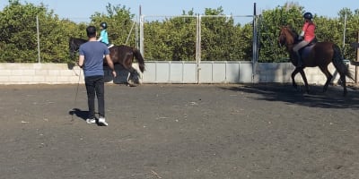 Hípica La Marrá - hipica in Sueca