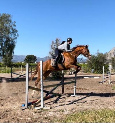 Sport Horses LC - hipica in Buscarrons