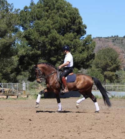 YEGUADA CORTES-HERNANDEZ - hipica in La Vall d'Uixó