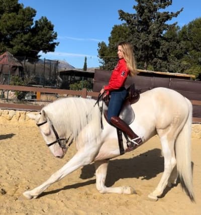 Equitación Alter Real - hipica in Sant Vicent del Raspeig