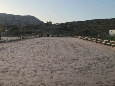 Hípica El Palmeral - hipica in Teulada