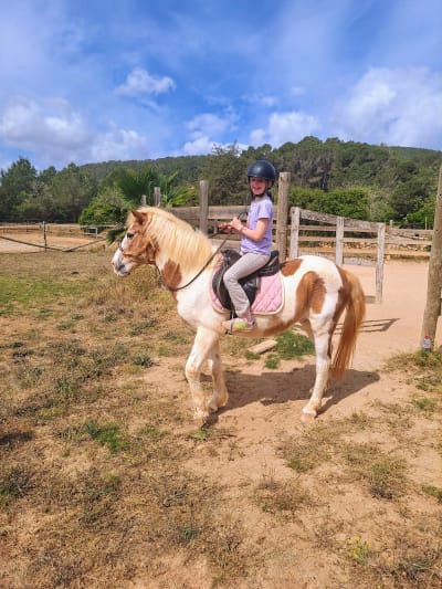 Horse Country Club Ibiza - hipica in Santa Eulària des Riu