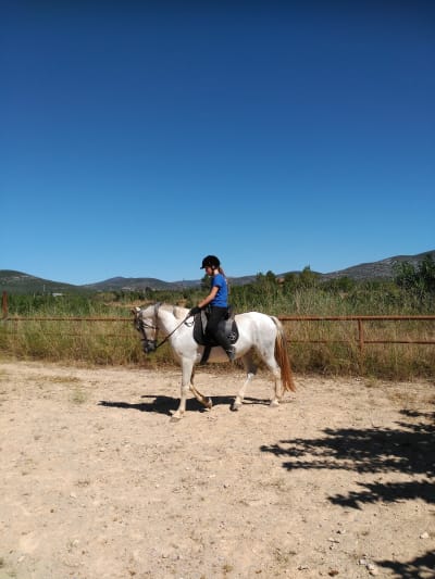 Yeguada Domenech Picazo - hipica in Santa Magdalena de Pulpis