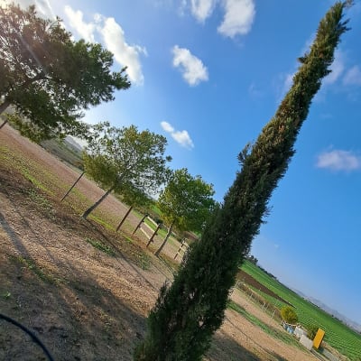 GUESOL - hipica in VERA