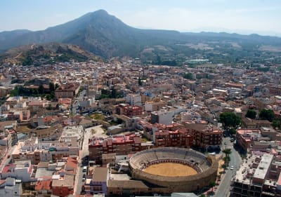 Arrozales de Almadenes, calasparra - hipica in Calasparra