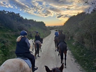 Club Hipico Almayate S.L. - hipica in Almayate