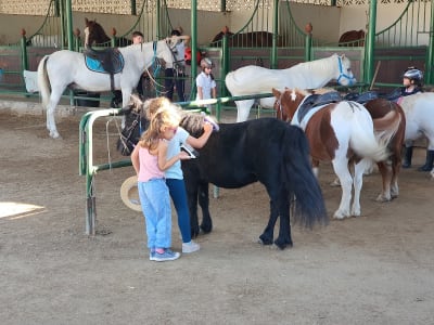 Mascotario - hipica in Cenes de la Vega