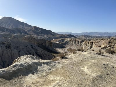 Rancho Malcamino's - hipica in Tabernas