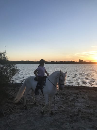 Centro Hipico La Cañada - hipica in El Puerto de Santa María