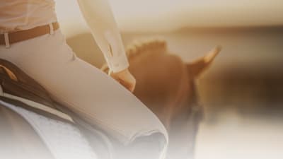 Finca La Pañoleta - Club Hípico - hipica in El Puerto de Santa María