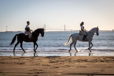 Rutas ecuestres Coto de la Isleta - hipica in El Puerto de Santa María