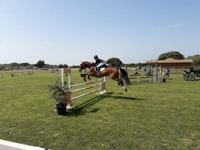 Hipica Bahia Verde - hipica in Puerto Real