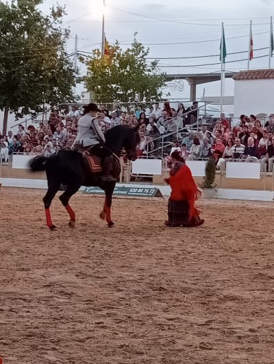 Carmelo Cuevas- Espectaculo Ecuestre - hipica in Sanlúcar de Barrameda
