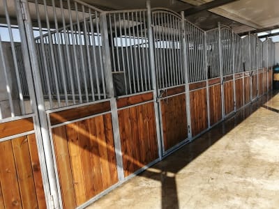 Centro Hípico Dos Álamos - hipica in Villamartín