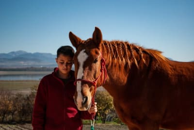 La Alegría - Experiencias a caballo - hipica in Bornos