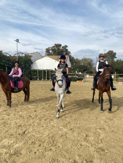 Centro Hipico El Molino de Fuego - hipica 