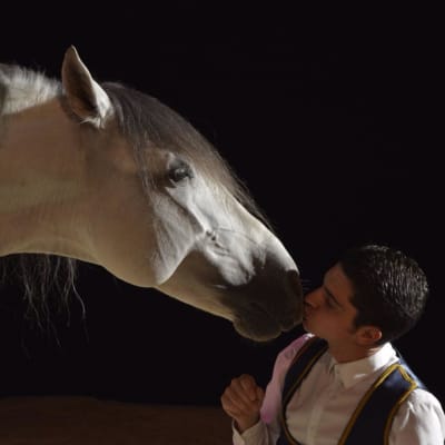 Centro Ecuestre "El Rocío" Coín - hipica in Coín