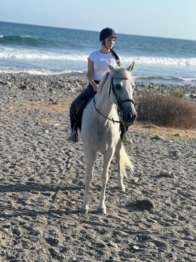 Equitación Pedro Sánchez - hipica in San Pedro Alcántara