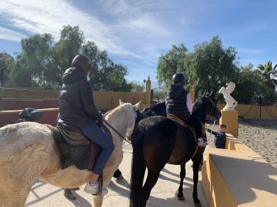 Centro Hípico los Mimbrales - hipica in Málaga