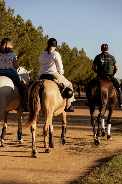 Orillas del Guadalquivir - hipica in Valencina de la Concepción