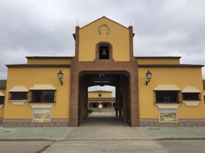 Club Hípico Botafuegos - hipica in Algeciras