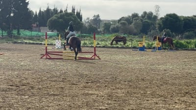 Club Hípico Mi Triana - hipica in Puente Romano