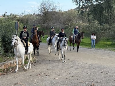 Club Hípico LA ALBAHACA - hipica in Mijas