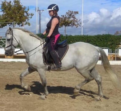 Escuela Municipal De Hípica Francisco De Paula Ortega García - hipica in Rota