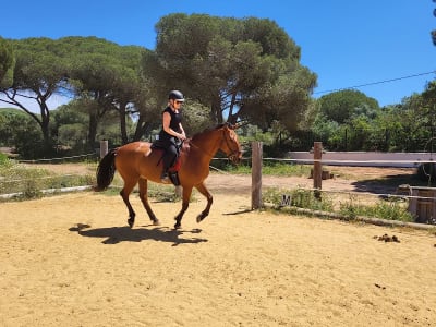 Finca Las Piñas - More Than Riding - hipica in Conil de la Frontera