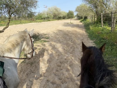 Doñana on Horse - hipica in El Rocío