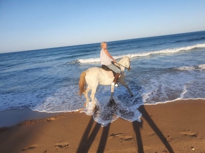 Yeguada La Patiña - hipica 