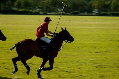 POLO DEL SOL - hipica in Jerez de la Frontera