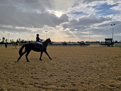 Hipódromo de Pineda - hipica in Sevilla